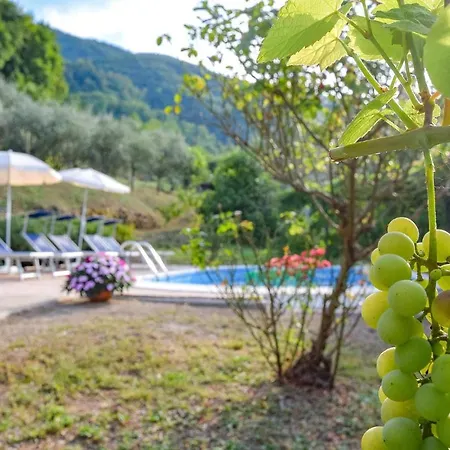 Cozy In Castagnetoli Holiday home *